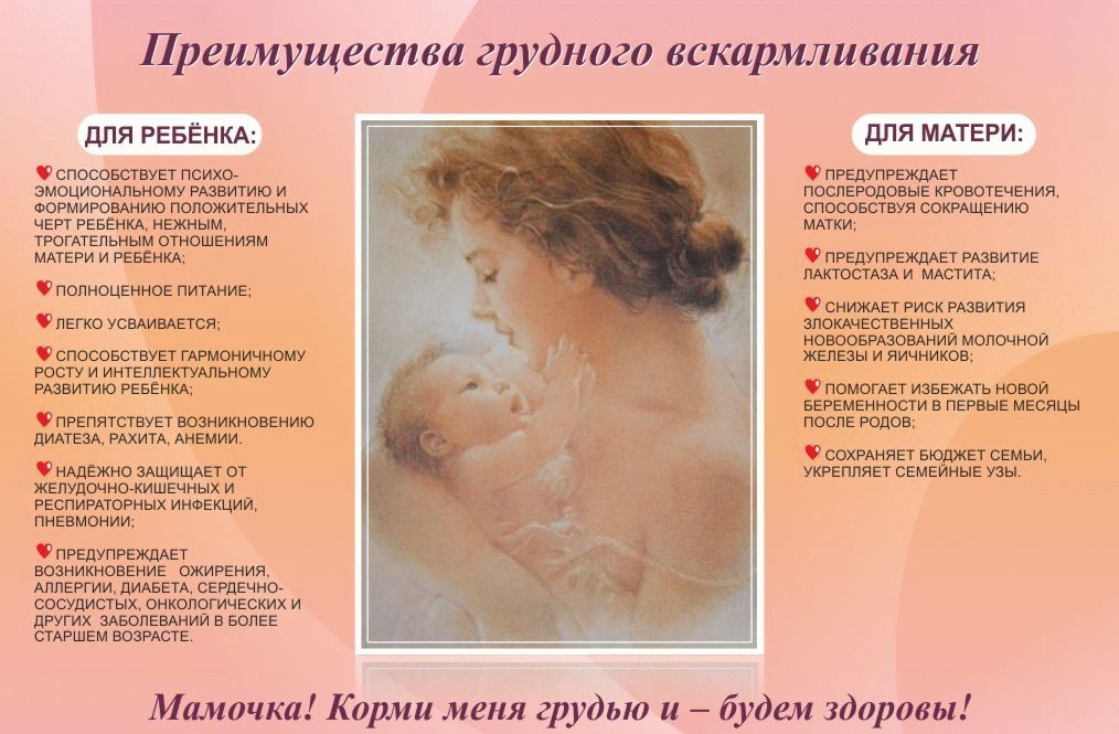 Мария, Автор в Ла Лече Лига Россия